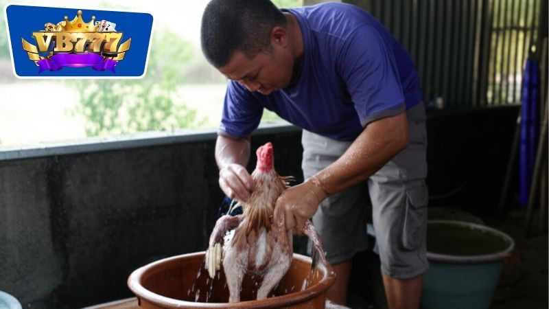 Tắm bằng nước trà xanh và các phương pháp tự nhiên khác