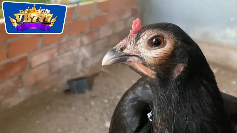 Phương pháp để nhận biết và chẩn đoán về tình trạng sưng