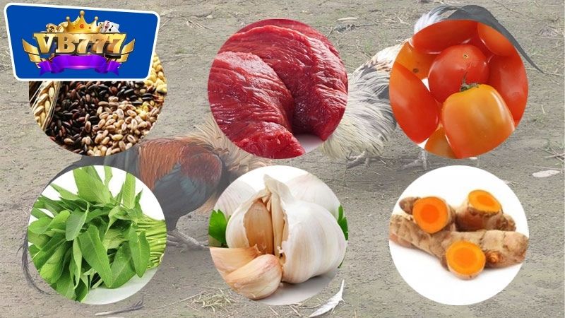 Thực Đơn Hàng Ngày Cho Gà Đá - Bí Quyết Nuôi Dưỡng Hoàn Hảo 6 Những thành phần chính có ở trong thực đơn hàng ngày cho gà đá
